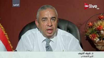 خبير اقتصادي: الشراكة بين القطاع الخاص والحكومة أصبحت حتمية الآن