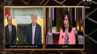 أستاذ علوم سياسية: القضية الفلسطينية ستأخذ نصيبا كبيرا من مباحثات السيسي وترامب