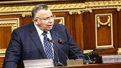 وكيل النواب: القارة الأفريقية ستشهد نهضة كبيرة بفضل رؤية الرئيس 