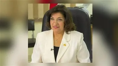 برلمانية: قانون الأحوال الشخصية يحتاج لتعديلات جوهرية حفاظًا على المجتمع المصري