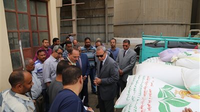 انطلاق موسم حصاد الذهب الأصفر في قنا )صور( 