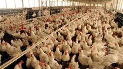  عاجل.. مصر ترفض طلب الولايات المتحدة برفع الحظرعن 