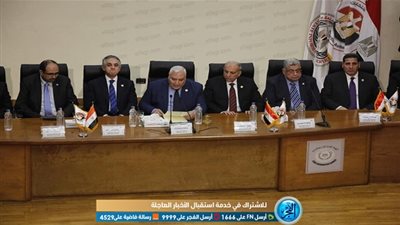 الهيئة الوطنية للانتخابات: الاستفتاء على الدستور من أهم مظاهر الديمقراطية (فيديو) 