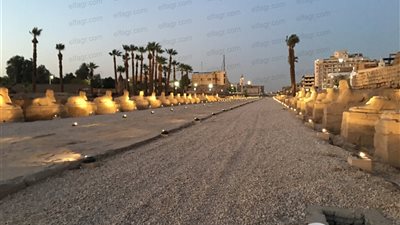 جولة لـ 20 سفيرًا بطريق الكباش بين الأقصر والكرنك (صور)