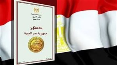 كيف كانت اللحظات الأولى للاستفتاء على التعديلات الدستورية في الخارج؟