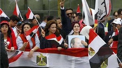 اتحاد المصريين بالخارج: لم نتوقع الإقبال الكبير على استفتاء التعديلات الدستورية 