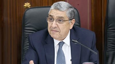 وزير الكهرباء يدعو المصريين للمشاركة في الاستفتاء على الدستور: جزء من المواطنة