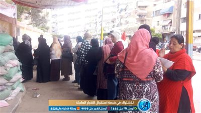 إقبال كثيف بلجان الاستفتاء على الدستور ببورسعيد