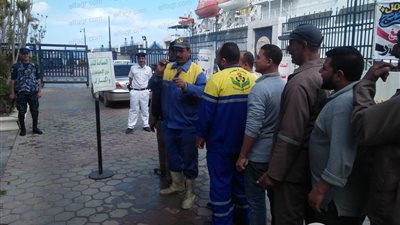 توافد عمال هيئة ميناء الإسكندرية لاستفتاء على الدستور في لجنة للمغتربين (صور)