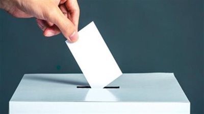 لليوم الثاني.. كيف حث المصريين بالخارج المواطنين بالداخل على المشاركة في الاستفتاء؟