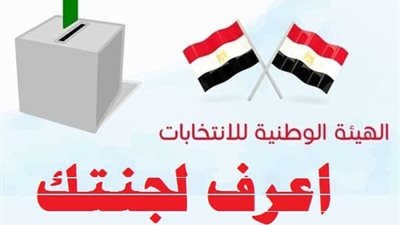 حدد الأن مقر لجنتك الانتخابية من رابط الهيئة الوطنية للانتخابات.. وشارك بصوتك في التعديلات الدستورية