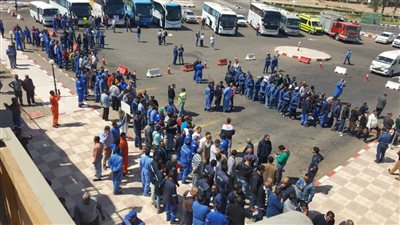 لجان الوافدين بالبحر الأحمر من العاملين في مجال السياحة والبترول يشاركون في الاستفتاء 