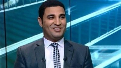 مصطفى ثابت عن مظاهر الاحتفال أمام لجان الاستفتاء: 