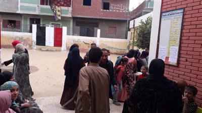 سيدة من ذوي الاحتياجات الخاصة تدلي بصوتها في الاستفتاء بشبين القناطر (صور)