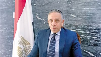 سفيرنا بالعراق: سنرسل نتائج الفرز إلى 