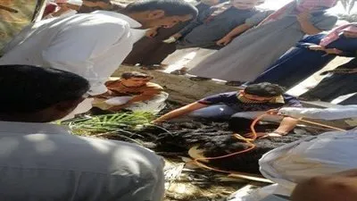 نعامة تتسبب في حالة من الفوضى في شوارع حائل