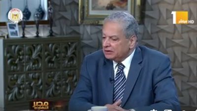 أستاذ علوم سياسية: تكاتف الشعب المصري يظهر في الأوقات الصعبة