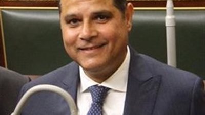 الخشن: الشعب المصري أعطى صورة حضارية بلجان استفتاء الدستور