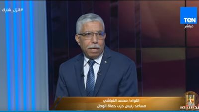 الغباشي: المصريون يرغبون في استكمال مسيرة التنمية (فيديو)