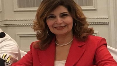 رئيس المنظمة العربية للحوار: هناك نضج في التجربة الإعلامية في تغطية الاستفتاء