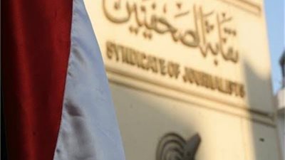 'الدفاع عن استقلال الصحافة' تشيد بتغطية الاستفتاء الدستوري: أعلت الأداء المهني