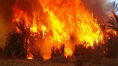 عاجل.. السيطرة على حريق بشونة غلال في دشنا قبل امتداده للمنازل المجاورة