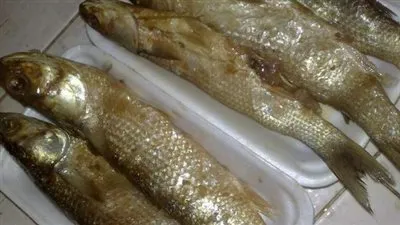 لتجنب الإصابة بالتسمم.. الصحة تقدم مجموعة من النصائح قبل شراء الملوحة