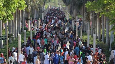 الأرصاد: انخفاض الحرارة بمعدل 3 درجات يوم شم النسيم 