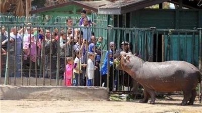 مدير حديقة الحيوان بالجيزة يكشف استعداداتهم لاستقبال الزوار 