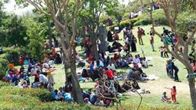 كيف احتفل المصريين بـ