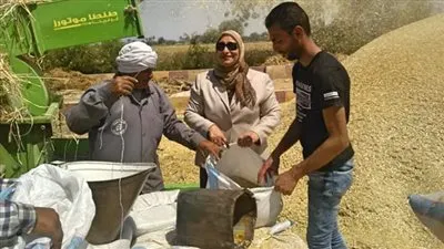 انطلاق موسم حصاد محصولي الشعير والقمح بجامعة الفيوم (صور)