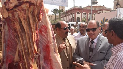 محافظ الفيوم يفتتح معرض 