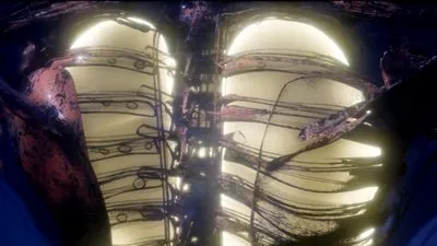 نصائح طبية لمرضى الربو خلال شهر رمضان (فيديو)