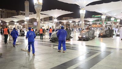 انطلاق مشروع مكافحة الجندب والحشرات التكافلية بالمدينة المنورة