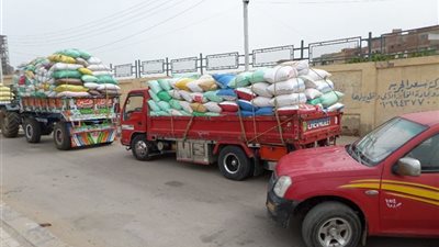 توريد 50 ألف طن قمح للشون والصوامع ببني سويف