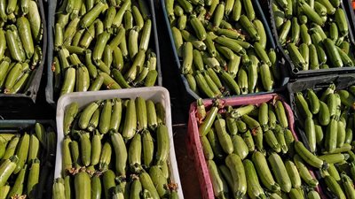 أسعار الفاكهة والخضروات اليوم السبت بمحافظة البحر الأحمر 