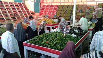 أسعار الخضروات والفاكهة اليوم الأحد 2019-5-12 في محافظة بورسعيد