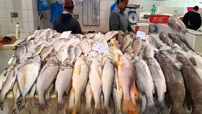 أسعار الأسماك اليوم الأحد 2019-5-12 في محافظة بورسعيد