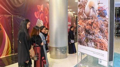 زوار معرض نادي الصقور يوثقون اهتمامهم بالطيور المهاجرة (صور)