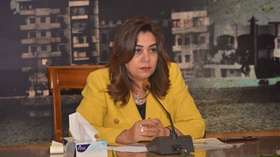 محافظ دمياط تمد فترة تقديم طلبات توفيق أوضاع مكامير الفحم النباتي