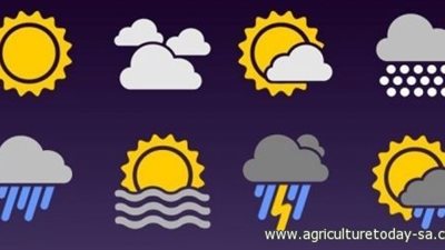 هام من الأرصاد.. تفاصيل حالة الطقس اليوم الثلاثاء 9 رمضان في محافظة القليوبية 