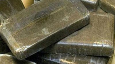 استمرار حبس عاطلين لترويجهما 10 طرب 