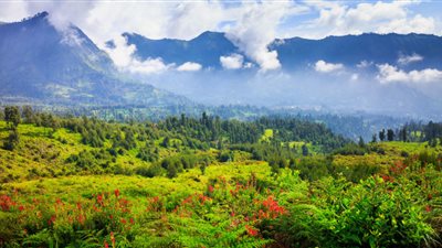 تعرف على قائمة الدول الأكثر جذبا للسياح المسلمين