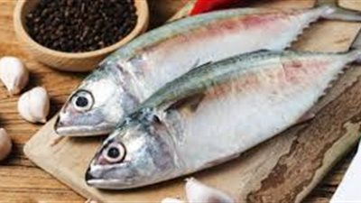 أسعار الأسماك اليوم الثلاثاء 21 مايو 2019