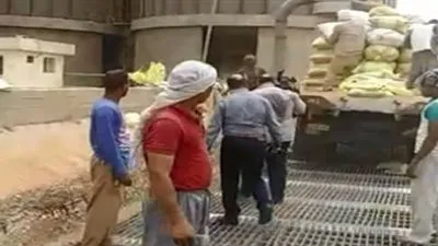 تشغيل الخلية رقم 5 بمطاحن مصر الوسطى بأسيوط 