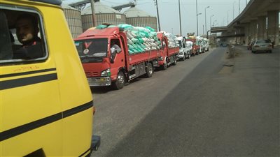 توريد ١٦١ ألف طن قمح لشون وصوامع الدقهلية