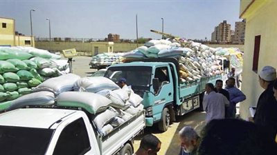 توريد ٦٦٤٢٦ طن قمح في مخازن القطاع الخاص بدمياط 