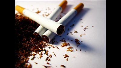 6 ملايين ضحية للتدخين سنويًا.. حقائق لا تعرفها عن 