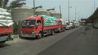 توريد ١٧.٥ ألف طن قمح في شون صوام الدقهلية
