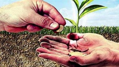 كيفية إحتساب زكاة المال على المحاصيل الزراعية 